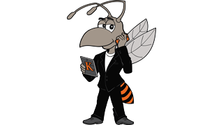 CCPD Hornet Logo