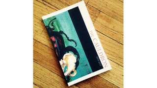 Cauldron cover