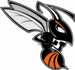 Kalamazoo College hornet logo